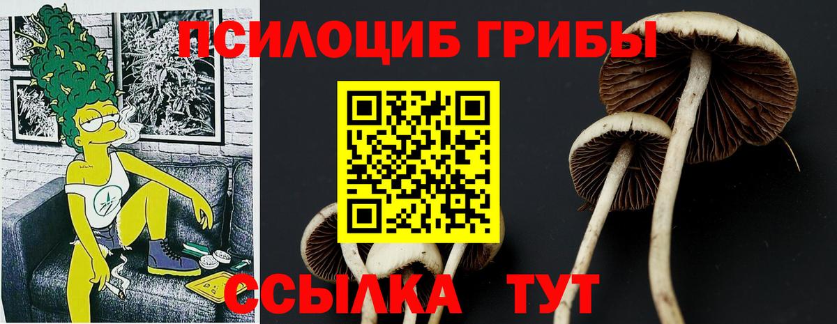 Галлюциногенные грибы прущие грибы Кохма