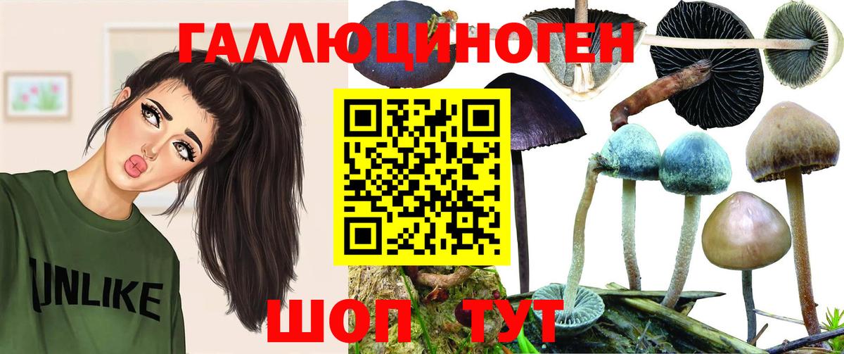 Галлюциногенные грибы мицелий  Вход с VPN  Кохма 